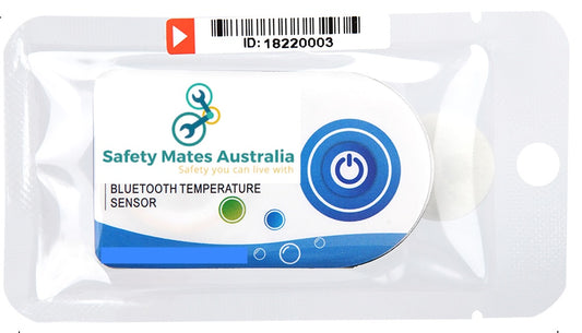WB-4 Bluetooth Temperature Sensor